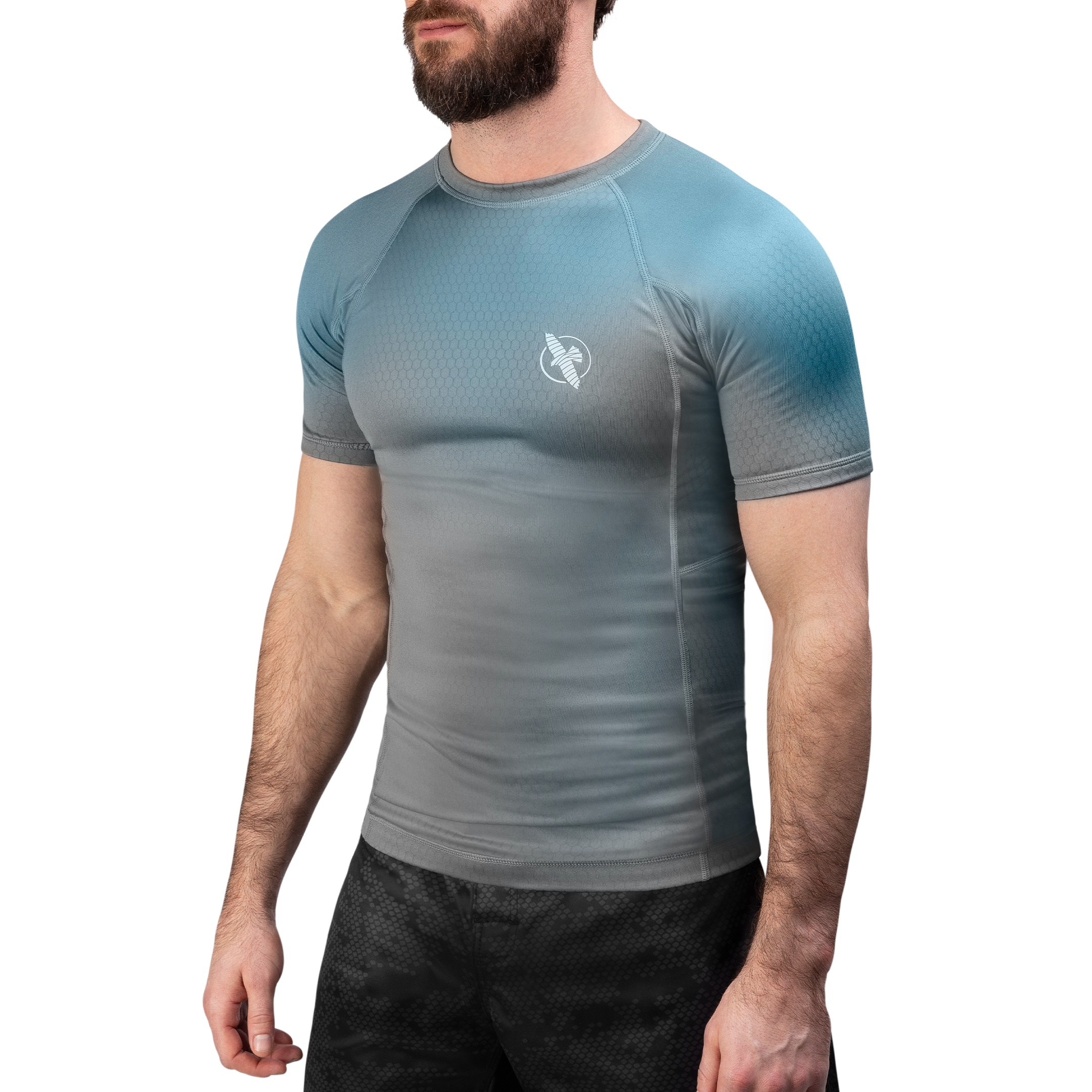 fusion_grayblue_mainimg_fr